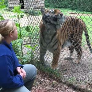 Meet your Posher, Cara